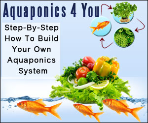 diy aquaponics kit