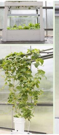 diy hydroponics examples