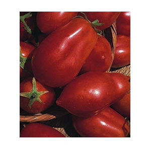 San Marzano Tomato