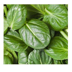 spinach