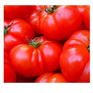 tomato