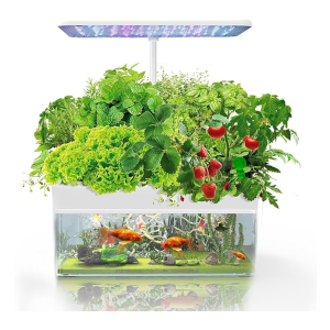 kitchen aquaponics system